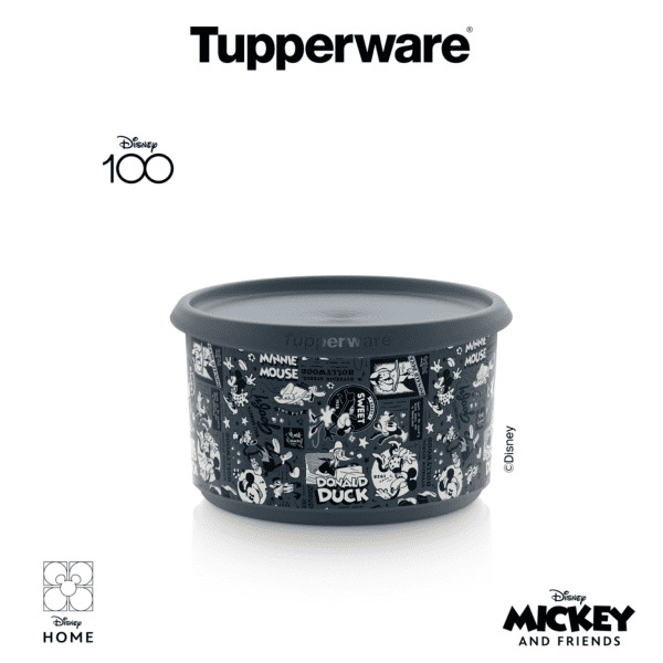 Bingo Disney 1,4 L dóza Tupperware Nitra